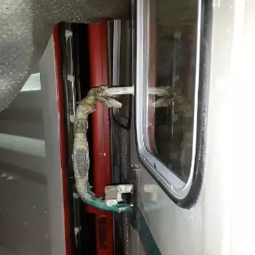 由青島港發往菲律賓的工程機械